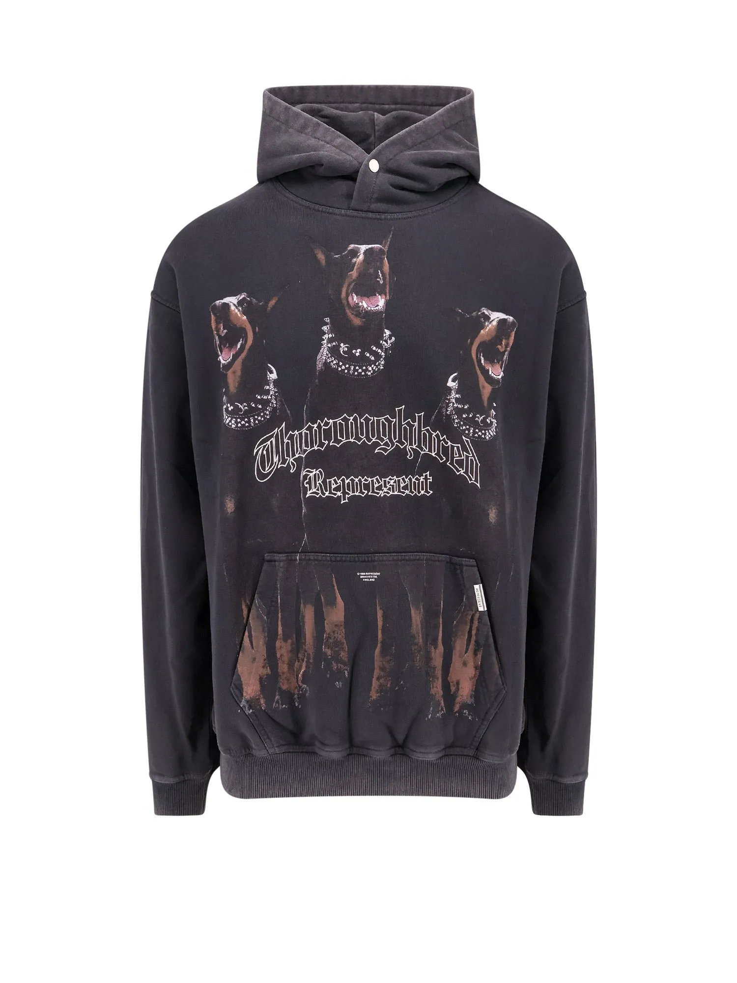 Cotton Sweatshirt With Frontal Thoroughbred Print