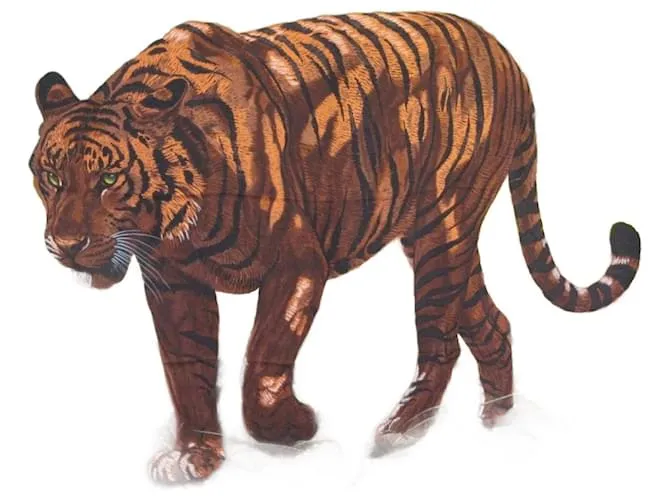 Sciarpa Hermès Carré 90 Tigre del Bengala Multicolore