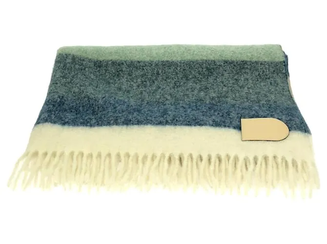 Stola in lana Delvaux Multicolore