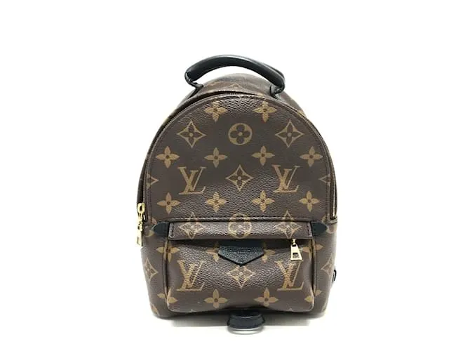 Zaino Palm Springs MINI di Louis Vuitton Marrone