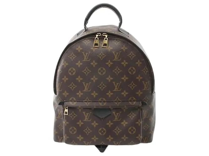 Zaino Palm Springs MM di Louis Vuitton Marrone
