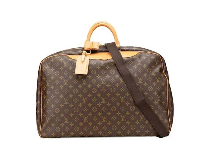 Borsa a Spalla Louis Vuitton Monogram Alizee En Poche Marrone
