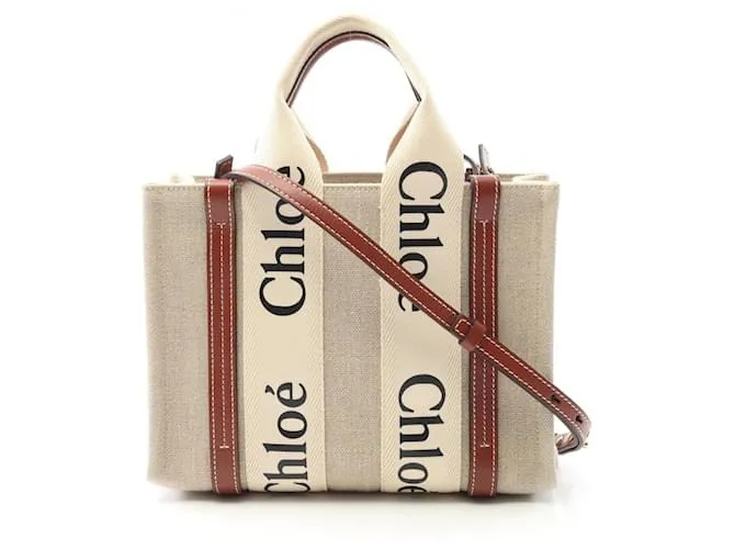 Borsa piccola Chloé WOODY Marrone Beige