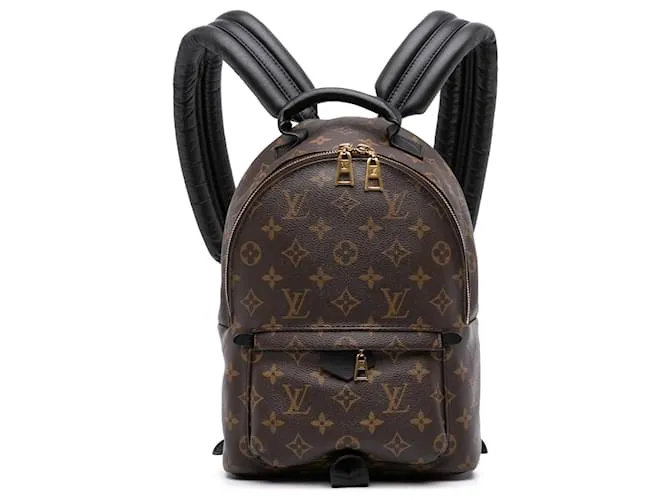 Zaino Palm Springs PM Monogram Marrone Louis Vuitton