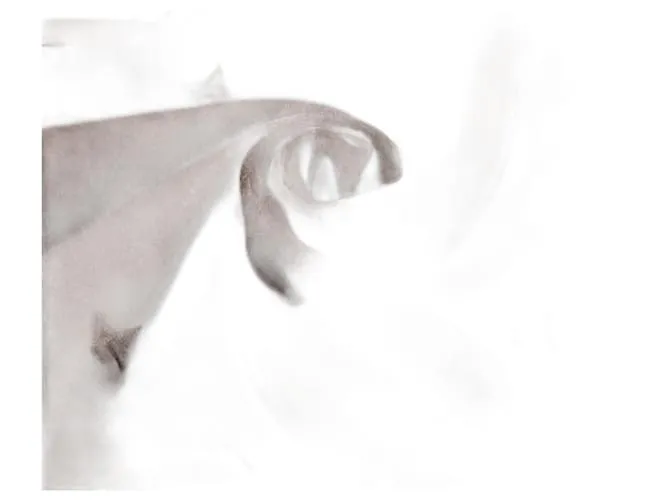 Sciarpa Monogram Chocolat Carre di Louis Vuitton Marrone