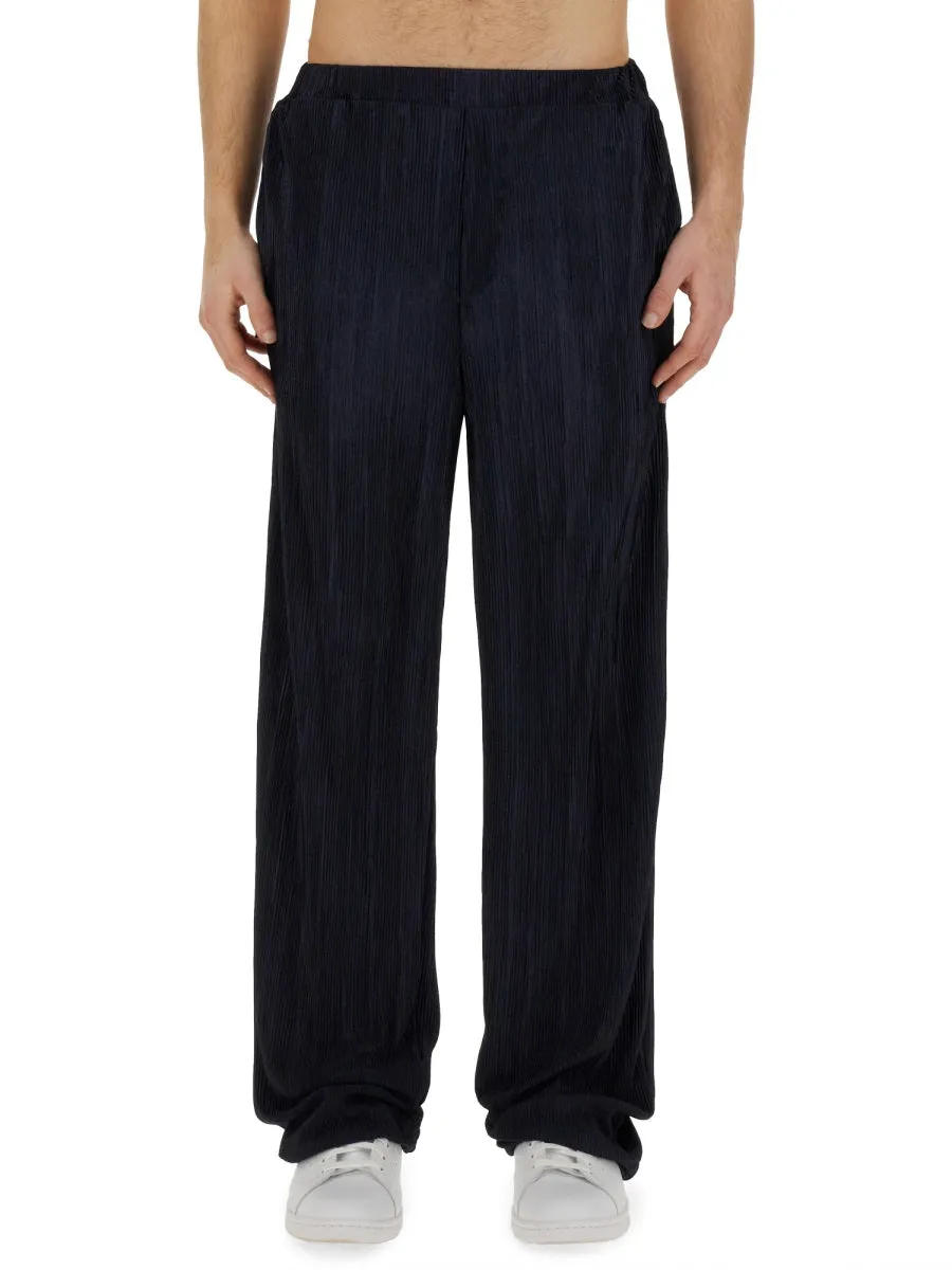 Pleated Pants